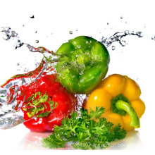 sweet pepper/colorful pepper